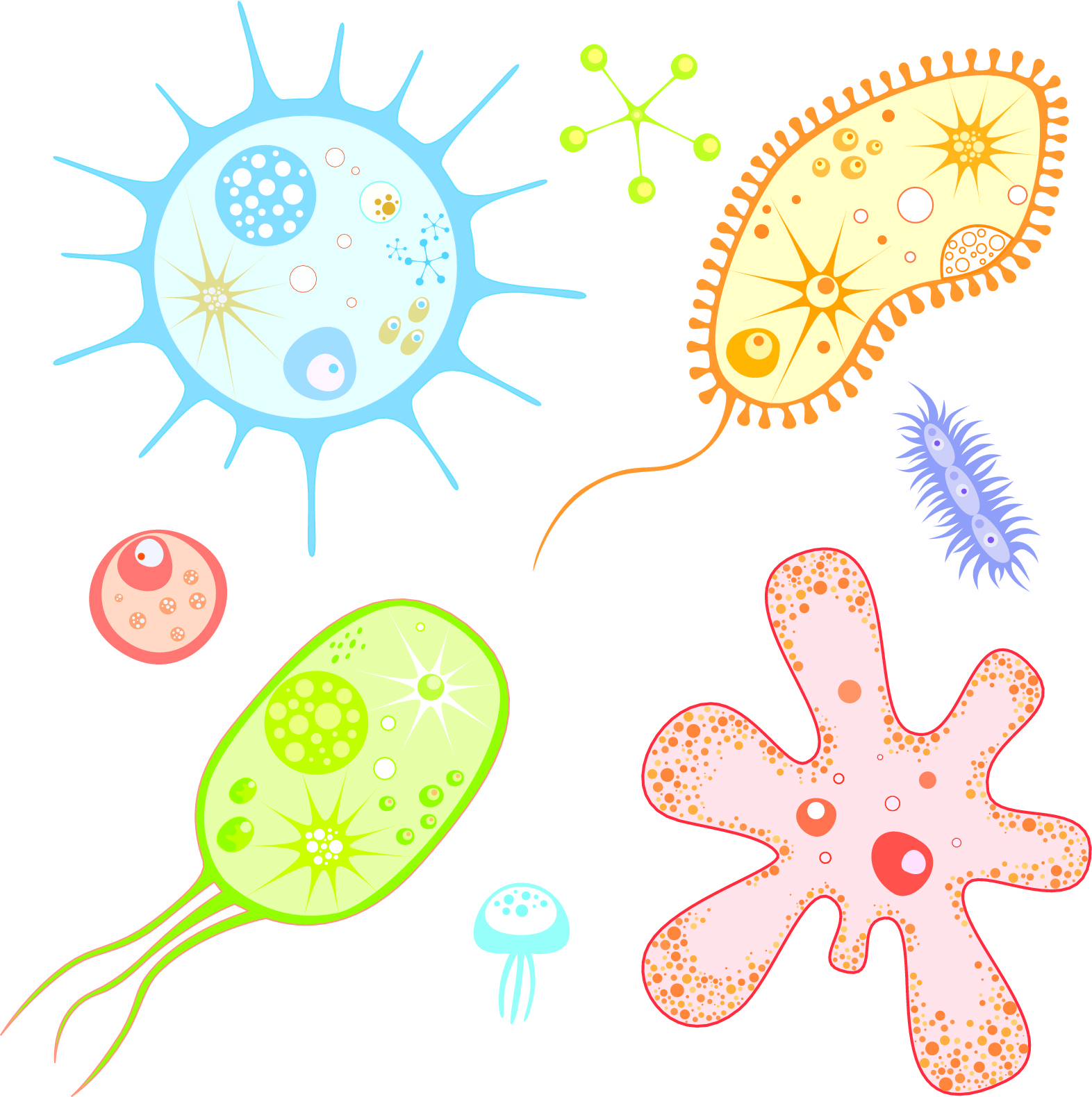 microbes and infection instructions to authors