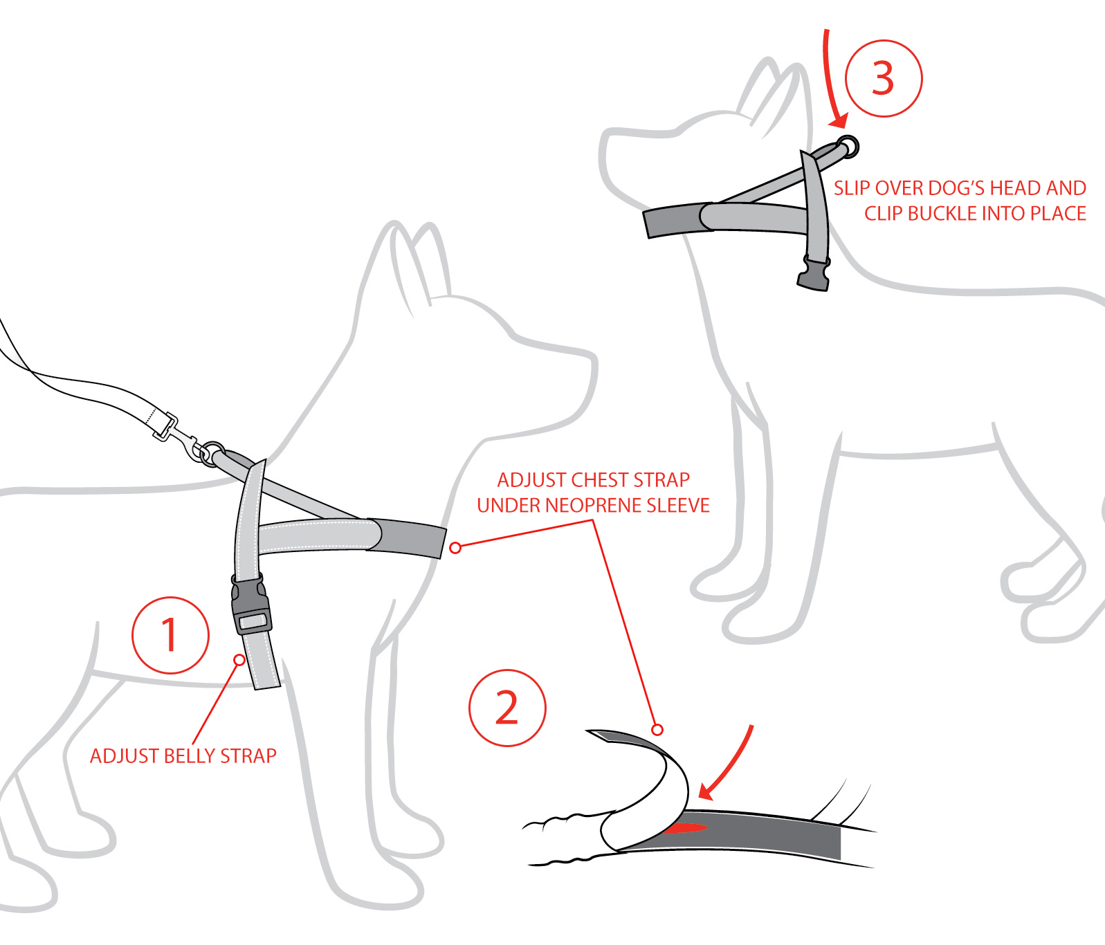 ezydog chest plate harness fitting instructions