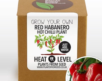 grow your own chillies kit instructions