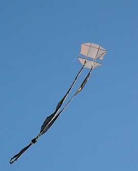 instructions fora bat kite