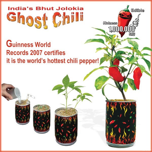 grow your own chillies kit instructions